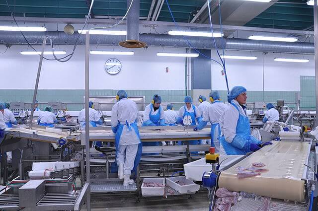 food processing operation