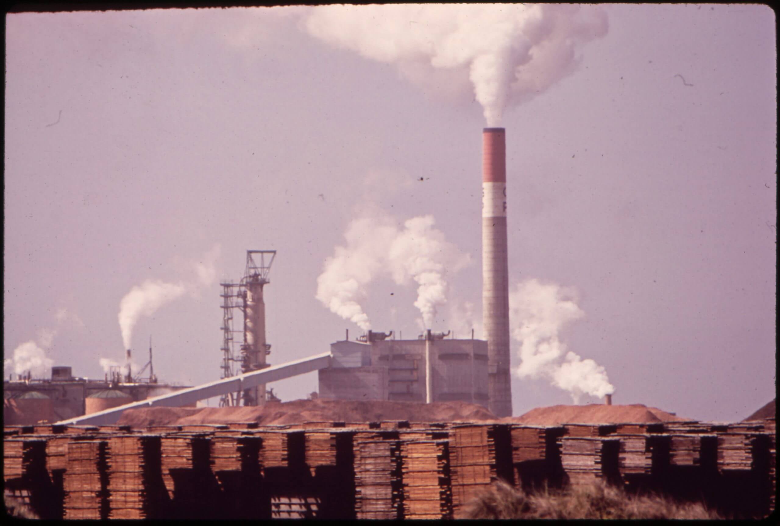 lumber processing operation