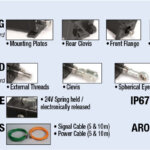 IMA-options-20250915-795x398.jpg