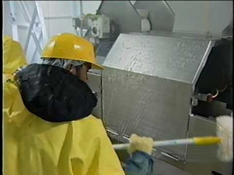 cleaning in food processing