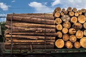 lumber processing industry