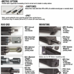 RSA-options-20250911-095154.png